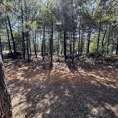 Appartement Au Bord De Mer Saint-Brevin-les-Pins Εξωτερικό φωτογραφία
