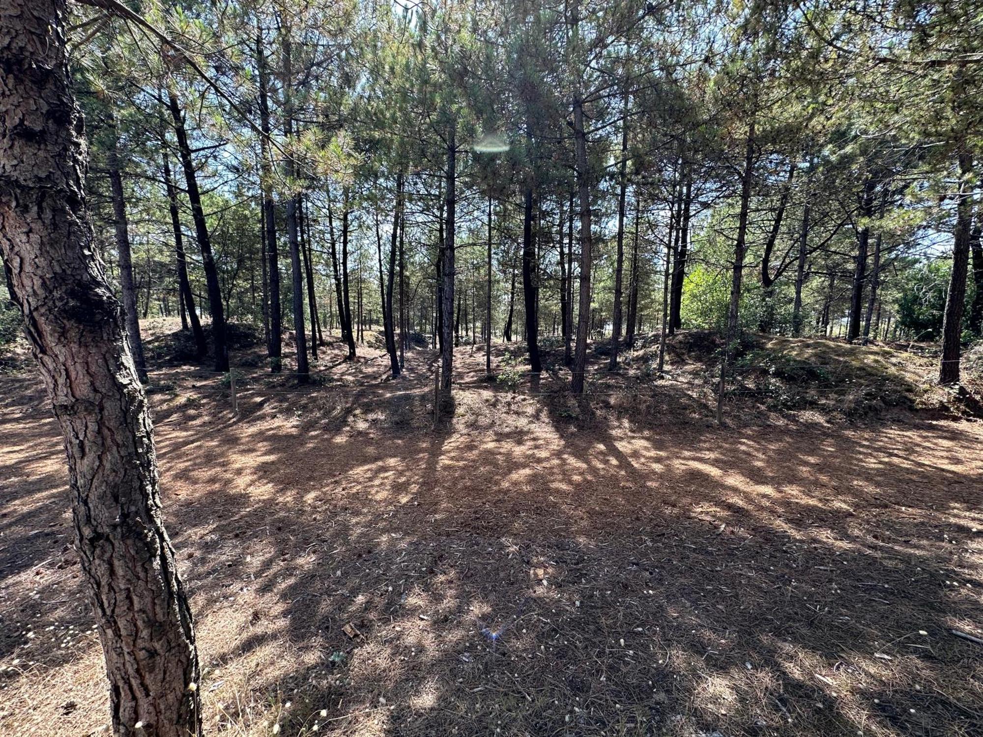 Appartement Au Bord De Mer Saint-Brevin-les-Pins Εξωτερικό φωτογραφία